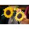 LEGO BOTANICALS 11502 Sunflower Bouquet - Lego - Collectibles - Techbox