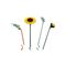 LEGO BOTANICALS 11502 Sunflower Bouquet - Lego - Collectibles - Techbox