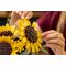 LEGO BOTANICALS 11502 Sunflower Bouquet - Lego - Collectibles - Techbox