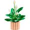 LEGO BOTANICALS 11504 Peace Lily |  Techbox