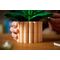LEGO BOTANICALS 11504 Peace Lily |  Techbox