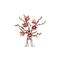 LEGO BOTANICALS 11510 Magnolia Branches - Lego - Collectibles - Techbox