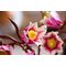 LEGO BOTANICALS 11510 Magnolia Branches - Lego - Collectibles - Techbox