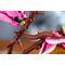 LEGO BOTANICALS 11510 Magnolia Branches - Lego - Collectibles - Techbox