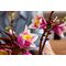 LEGO BOTANICALS 11510 Magnolia Branches - Lego - Collectibles - Techbox