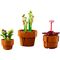 LEGO ICONS 10329 TINY PLANTS - Lego - Collectibles - Techbox