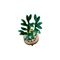 LEGO ICONS 10344 The Botanical Collection - Lucky Bamboo - Lego - Collectibles - Techbox