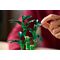 LEGO ICONS 10344 The Botanical Collection - Lucky Bamboo - Lego - Collectibles - Techbox