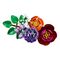 LEGO BOTANICALS 10345 Flower Arrangement |  Techbox