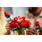 LEGO ICONS 10328 BOUQUET OF ROSES FLOWERS - Lego - Collectibles - Techbox