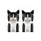 LEGO IDEAS 21349 Tuxedo Cat - Lego - Collectibles - Techbox