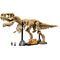 LEGO JURASSIC WORLD 76968 Dinosaur Fossils: Tyrannosaurus rex - Lego - Collectibles - Techbox