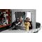 LEGO STAR WARS 75419 Death Star (Ultimate Collector Series) - Lego - Collectibles - Techbox