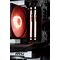 Actina 5901443421597 PC AMD Ryzen™ 9 7900 32 GB DDR5-SDRAM 1 TB SSD NVIDIA GeForce RTX 5070 Ti Midi Tower Black | Techbox