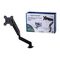 Esperanza ERW019 monitor mount / stand 68.6 cm (27") Desk Black | Techbox