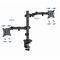 Gembird MA-D2-03 Adjustable desk mounted double monitor arm, 17”-32”, black - Stands & Accessories - Monitors & Mounts - Techbox