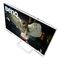 BenQ EW3290U LED display 79.2 cm (31.2") 3840 x 2160 pixels 4K Ultra HD White - Monitors - Monitors & Mounts - Techbox