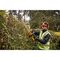 55cm hedge trimmer, 18V DCMHT563P1 DEWALT | Techbox