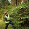 DeWALT DCMPH566N-XJ power hedge trimmer 3.6 kg | Techbox