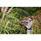 Black & Decker BEHTS451-QS power hedge trimmer - Electric Tools - Tools - Techbox