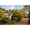 Black & Decker BEHTS451-QS power hedge trimmer - Electric Tools - Tools - Techbox