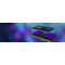 Kingston Technology FURY 16GB 5600MT/s DDR5 CL40 SODIMM Impact PnP | Techbox