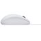 Logitech B120 Optical Combo Mouse | Techbox