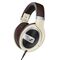 Sennheiser HD 599 Headphones Head-band Brown,Ivory | Techbox
