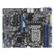 ASUS P13R-E/10G-2T Intel C266 LGA 1700 ATX - Motherboards - Laptops & PC Builds - Techbox