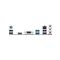 ASUS PRIME H610M-K D4 Intel H610 LGA 1700 micro ATX - Motherboards - Laptops & PC Builds - Techbox