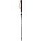 VIKING Kivi 2.0 Trekking poles, 65–135 cm | Techbox