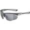 Alpina Nylos HR Sunglasses cat. 3 Grey - Fitness - Sports & Fitness - Techbox