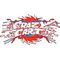 Razor CRAZY CART 20173861 Lithium | Techbox