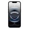 Apple iPhone 16e 15.5 cm (6.1") Dual SIM iOS 18 5G USB Type-C 128 GB Black | Techbox