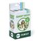 Bex - Giant Yatzy Family (541-530) / Toys