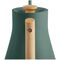 Fellow Stagg EKG Pro 0.9L green electric kettle | Techbox