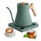 Fellow Stagg EKG Pro 0.9L green electric kettle | Techbox