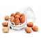 Esperanza EKE001 egg cooker 7 egg(s) 350 W White | Techbox