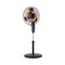 2-in-1 fan with heating function NOVEEN F740 16"/40 cm | Techbox