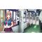 Pretty Girls Game Collection / Nintendo Switch - Nintendo Switch Games - Games - Techbox