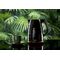 Adler AD 1277 B electric kettle 1.7 L 2200 W Black | Techbox