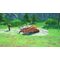 Monster Hunter Stories 3: Twisted Reflection / Xbox Series X - Series X Games - Games - Techbox