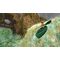 Tomb Raider I-III Remastered / PlayStation 4 - PS4 Games - Games - Techbox