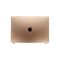 Apple (661-16808) Display incl. frame (Original) - Gold, Apple MacBook Air 13 (2020) | Techbox