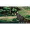 Kejora (Import) / Nintendo Switch - Nintendo Switch Games - Games - Techbox