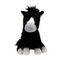 Miss Melody - Plush Horse Black 20 cm (0414047) / Toys