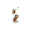 LEGO DISNEY 43301 Toy Story: Slinky Dog Bookends |  Techbox