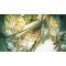 Fuga: Melodies of Steel (Multi in Language) (Import) / Nintendo Switch