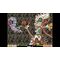 Irem Collection Volume 3 (Multi in Language) (Import) / Nintendo Switch