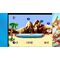 Bubsy in: The Purrfect Collection - Deluxe Edition (Limited Run) (Import) / PlayStation 5